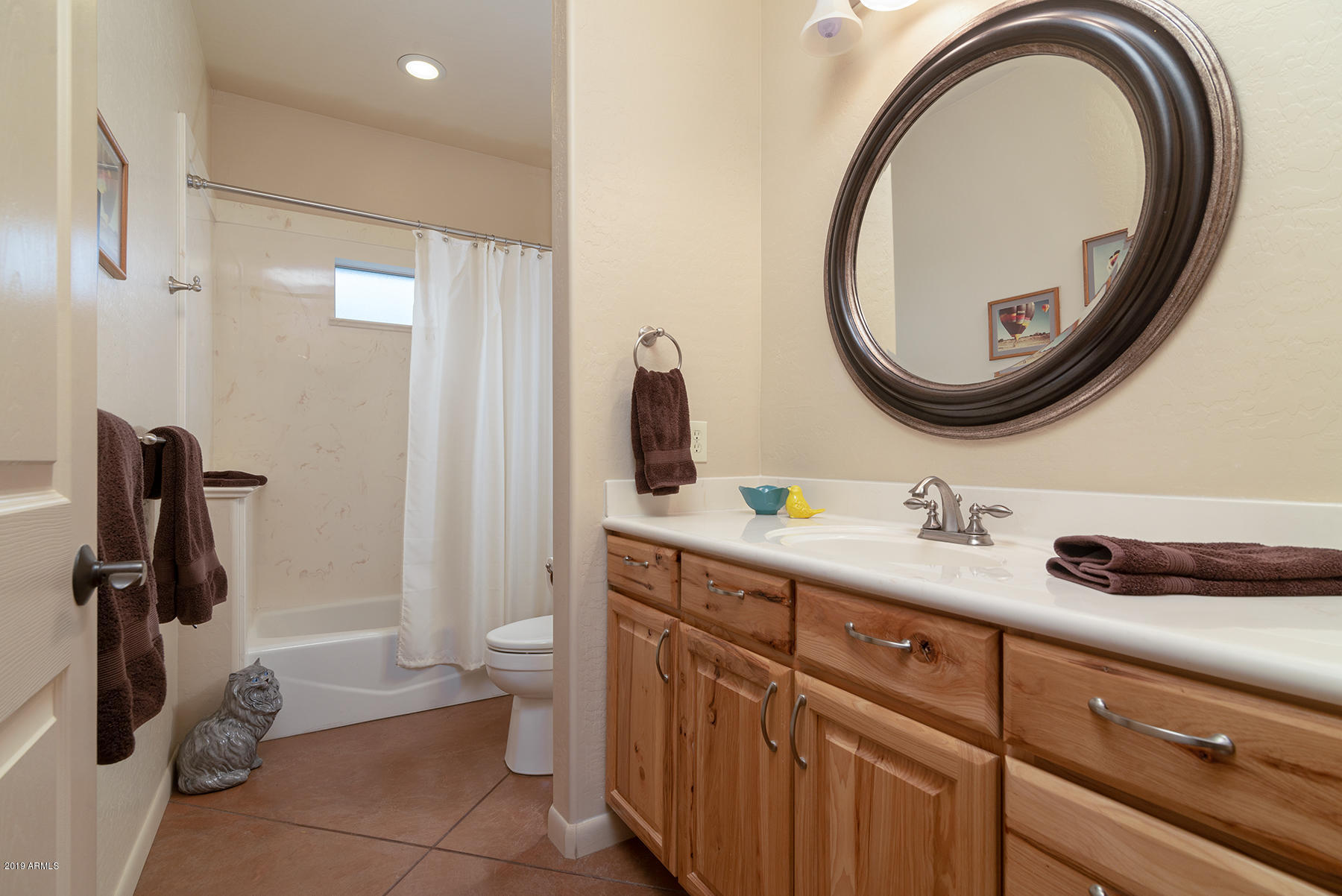 4173 North Wolverine Pass Road Apache Junction, AZ 85119 - Photo 29 of 51 DSC_6248