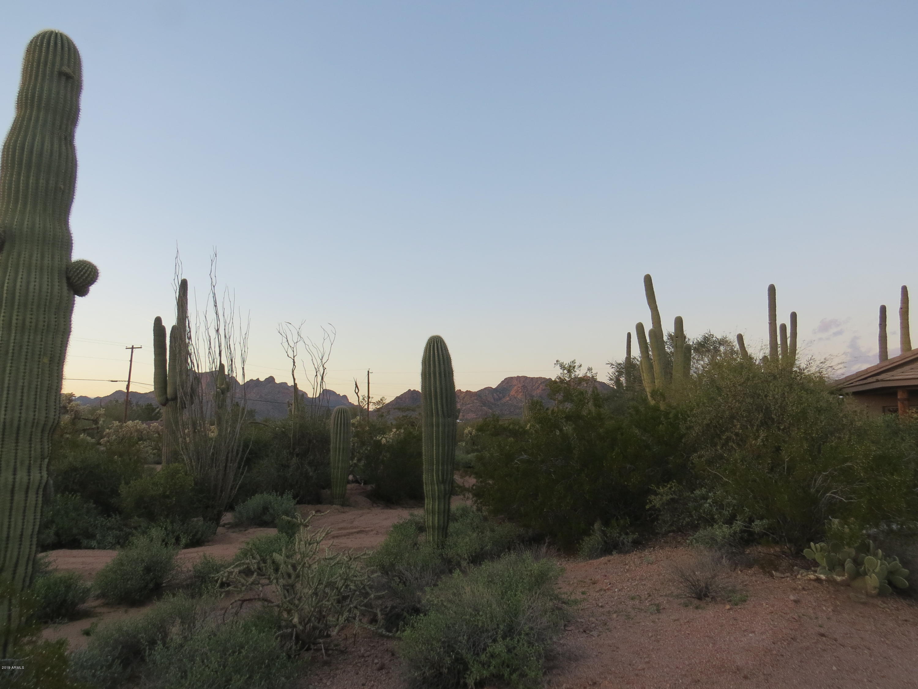 4173 North Wolverine Pass Road Apache Junction, AZ 85119 - Photo 33 of 51 listing pics (4)