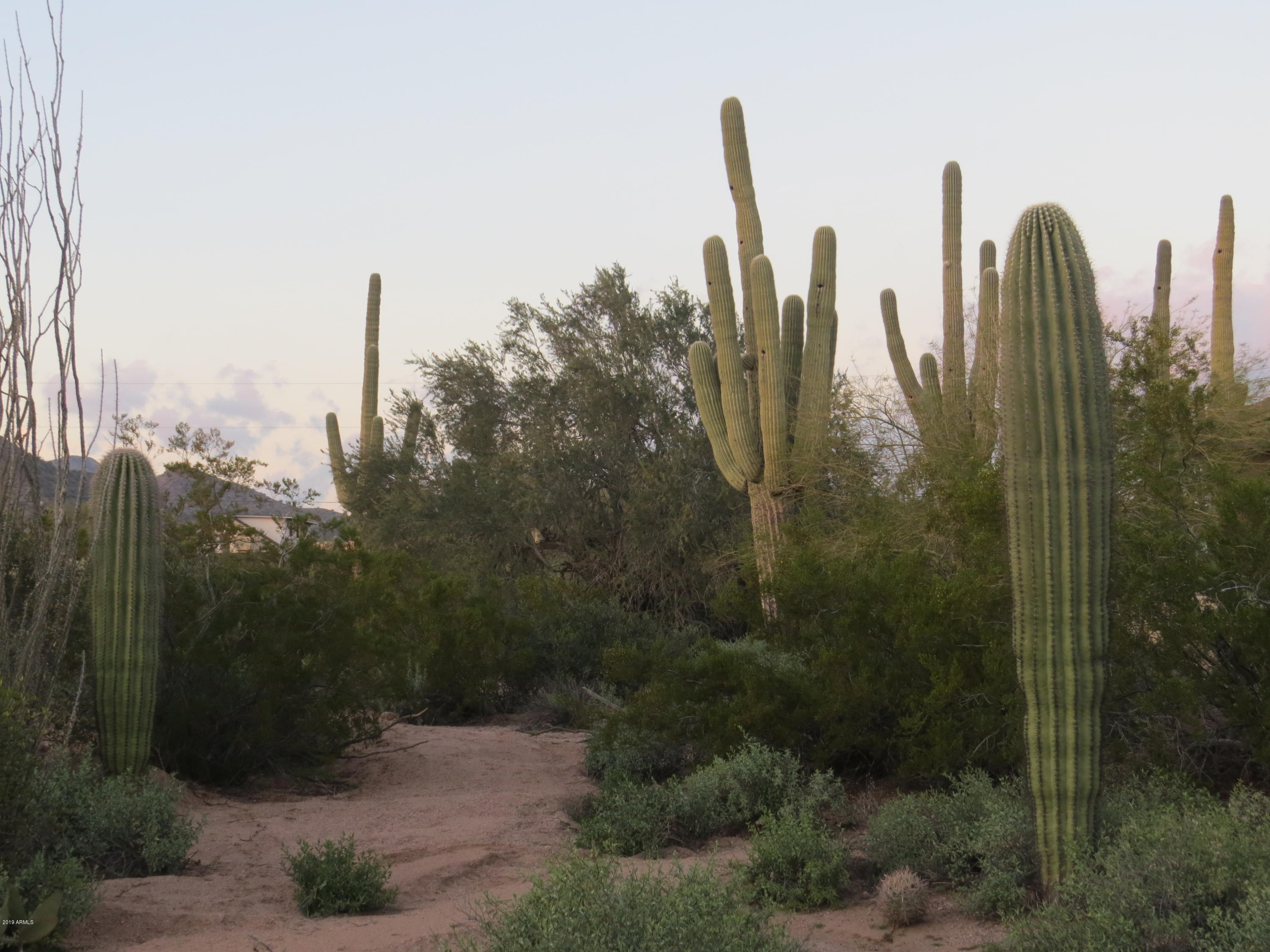 4173 North Wolverine Pass Road Apache Junction, AZ 85119 - Photo 34 of 51 listing pics (3)