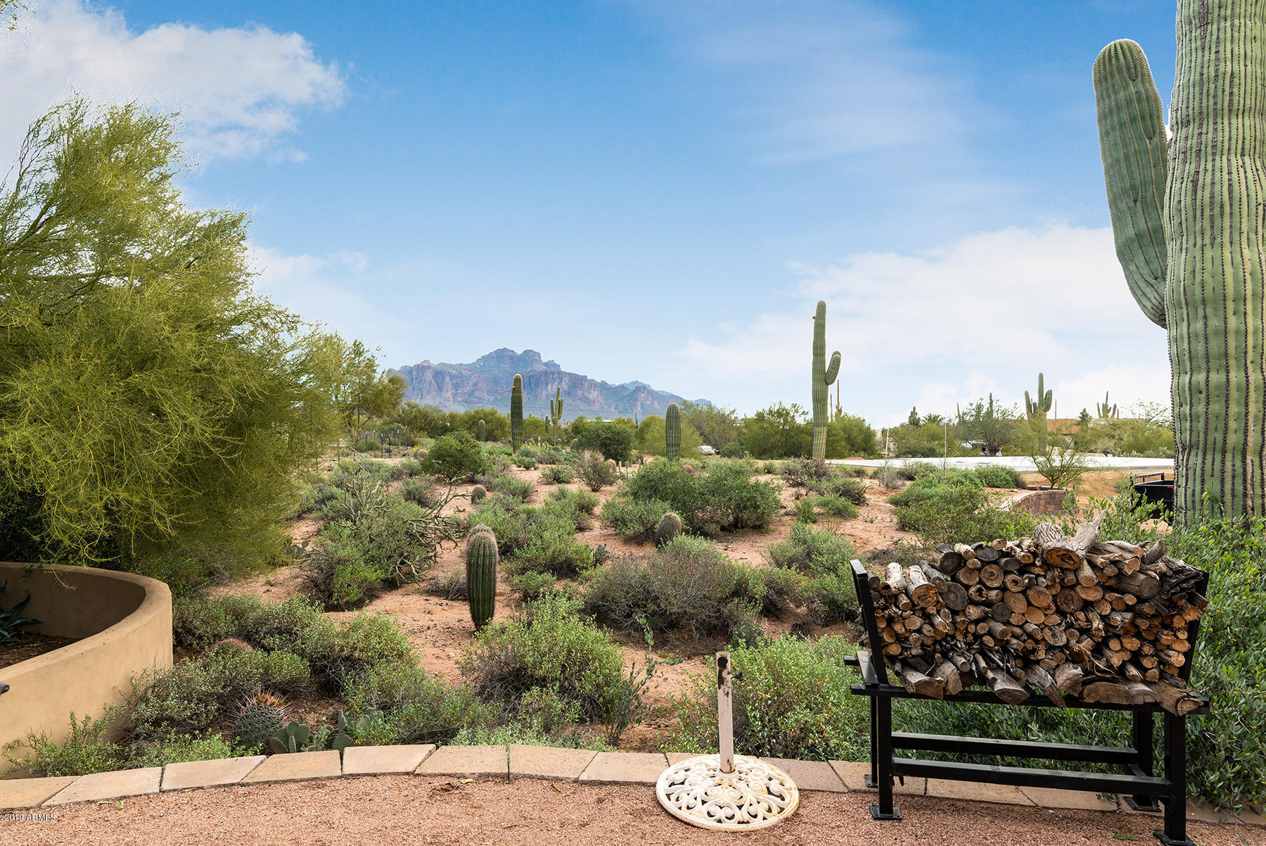 4173 North Wolverine Pass Road Apache Junction, AZ 85119 - Photo 5 of 51 DSC_6273