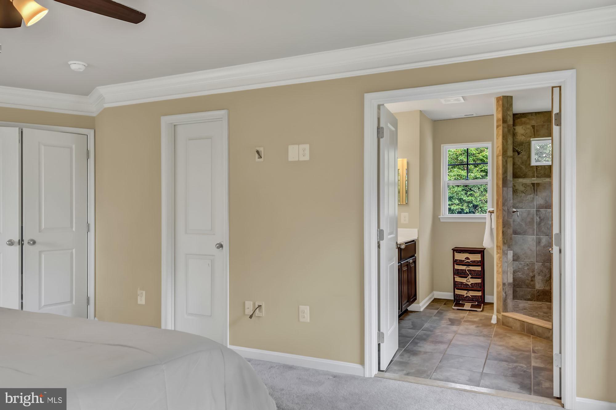 20001 Gunpowder Road Manchester, MD 21102 - Photo 14 of 28 Double doors to dreamy master bathroom
