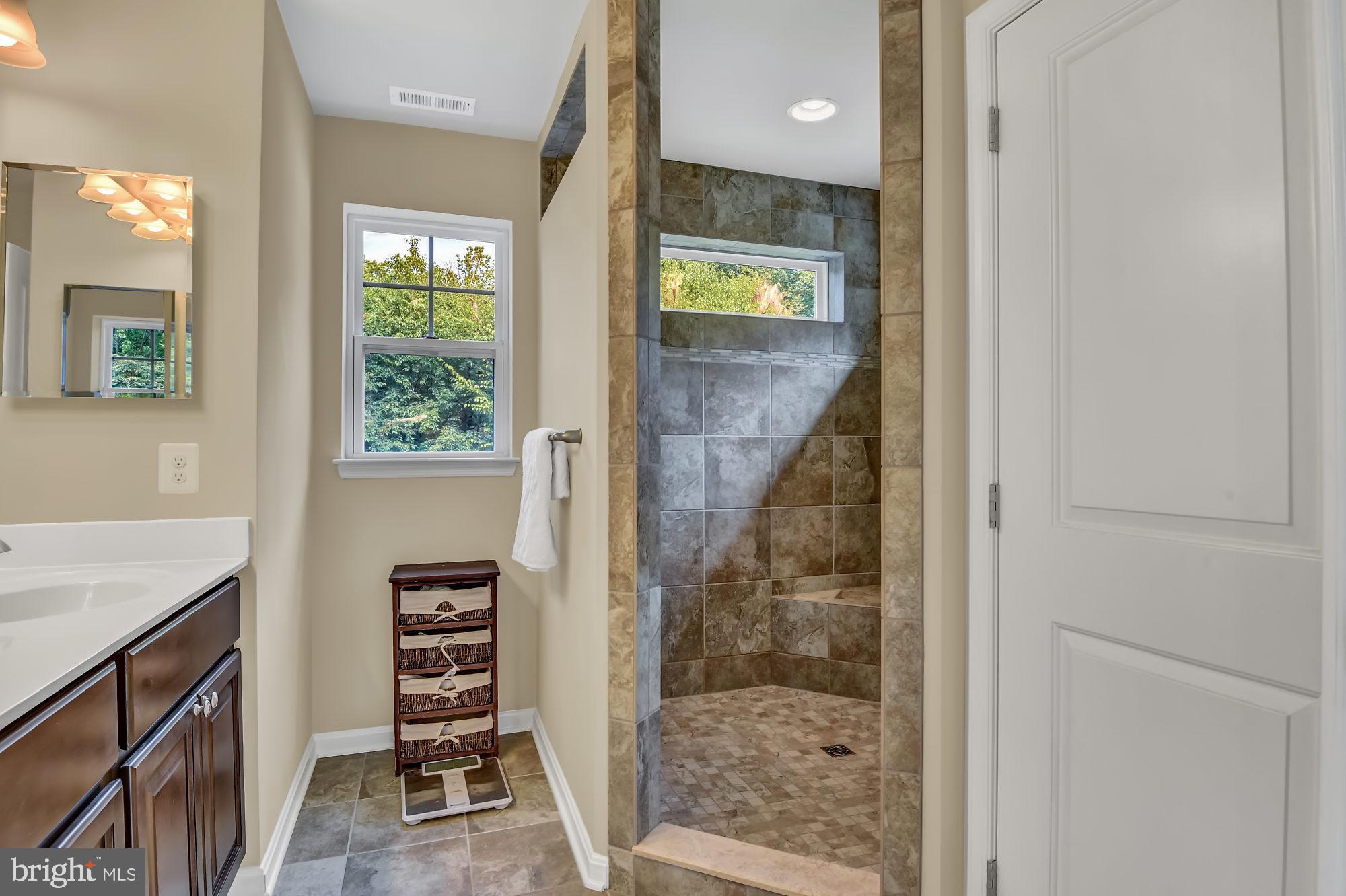 20001 Gunpowder Road Manchester, MD 21102 - Photo 16 of 28 Tiled light-filled walk-in dual shower