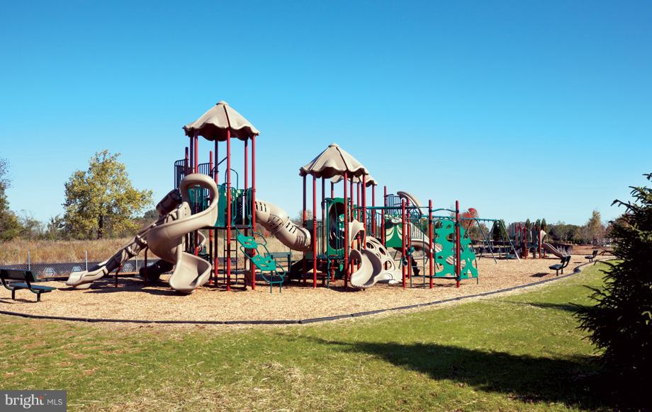 41363 Tarragon Leaf Drive Aldie, VA 20105 - Photo 10 of 12 Community Tot lots
