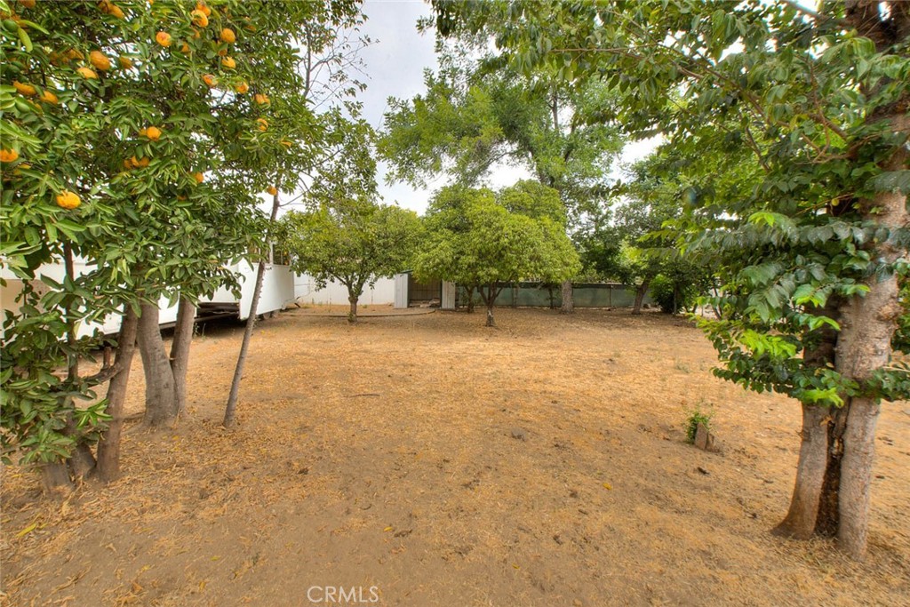 2803 Ladera Road San Bernardino, CA 92405 - Photo 47 of 60