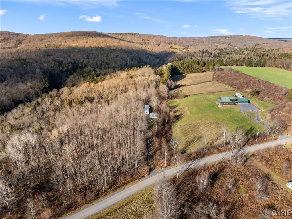 9065 Dole Road Steuben, NY 13438 - Photo 16 of 39