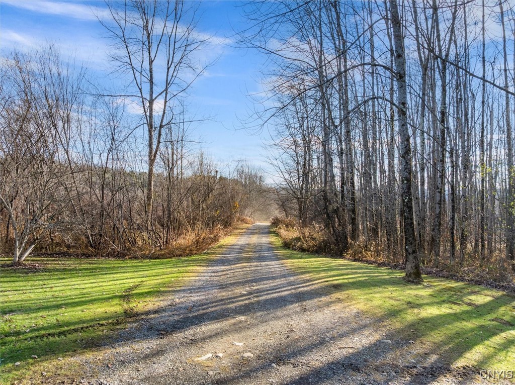 9065 Dole Road Steuben, NY 13438 - Photo 2 of 39