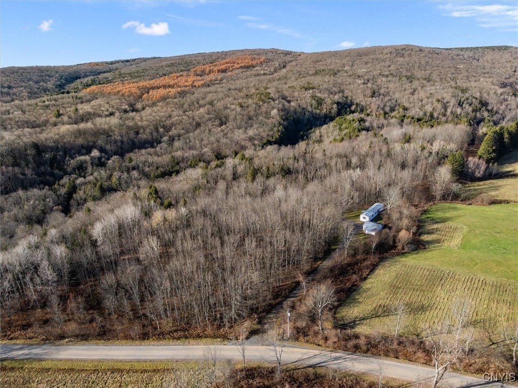 9065 Dole Road Steuben, NY 13438 - Photo 3 of 39