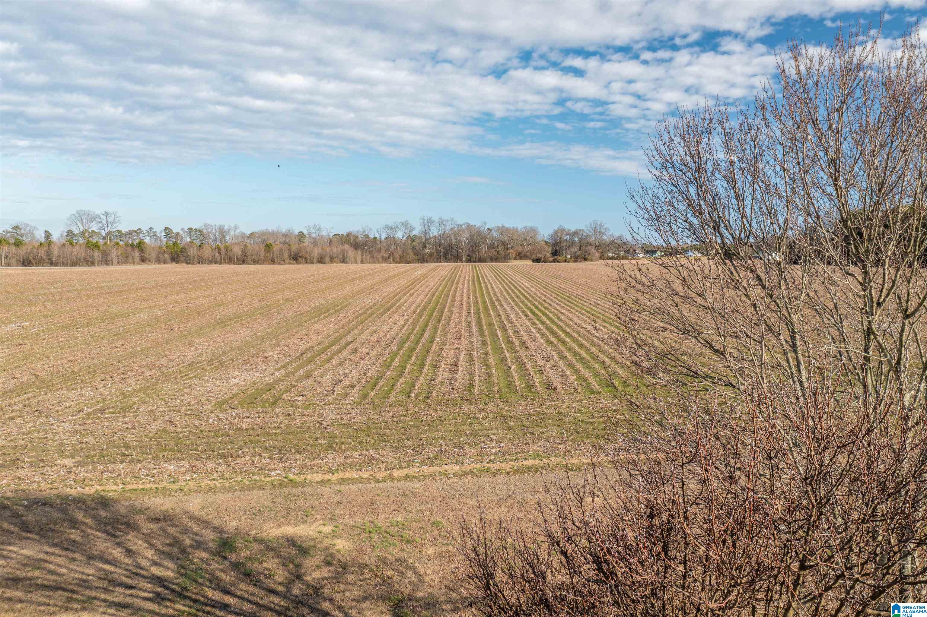 730 County Road 494 Centre, AL 35960 - Photo 29 of 29