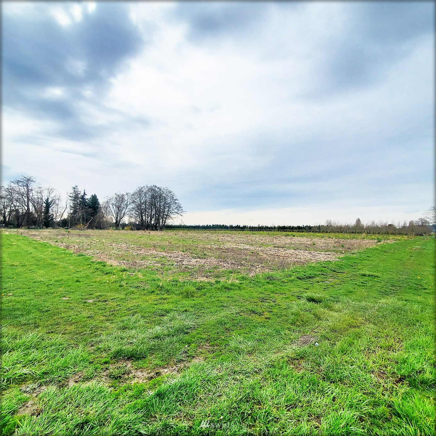 12890 Pulver Road Burlington, WA 98233 - Photo 3 of 18 a view of yard with ocean and mountain in the back
