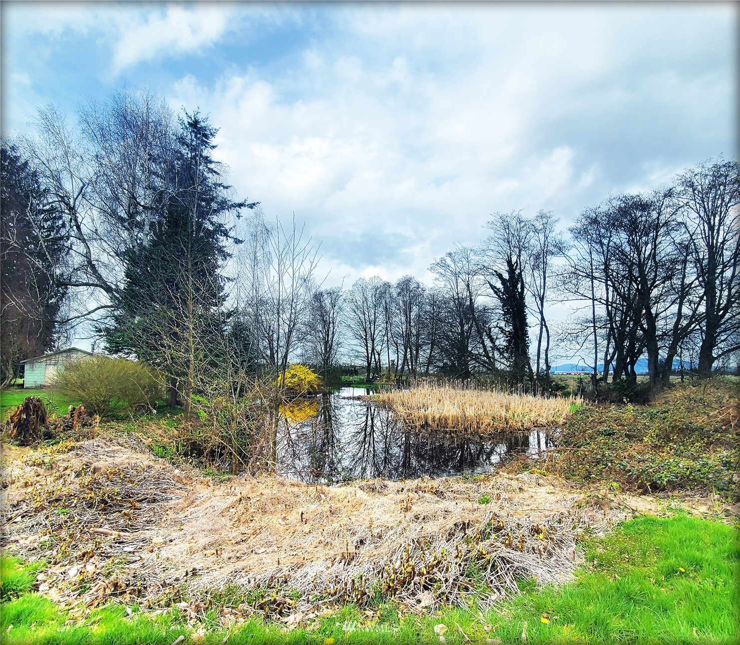 12890 Pulver Road Burlington, WA 98233 - Photo 6 of 18 a view of a yard with a large tree