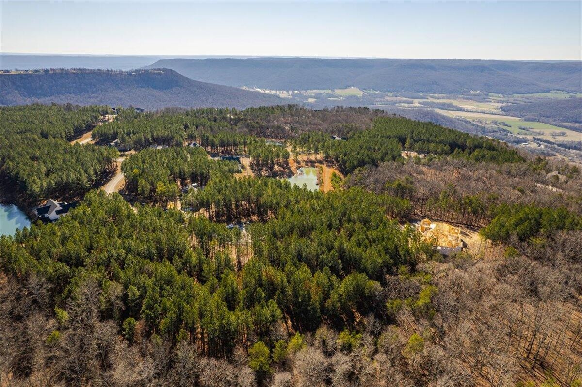 0 Bootleg Dri Jasper, TN 37347 - Photo 12 of 36 an aerial view of a houses with a yard and mountain view in back