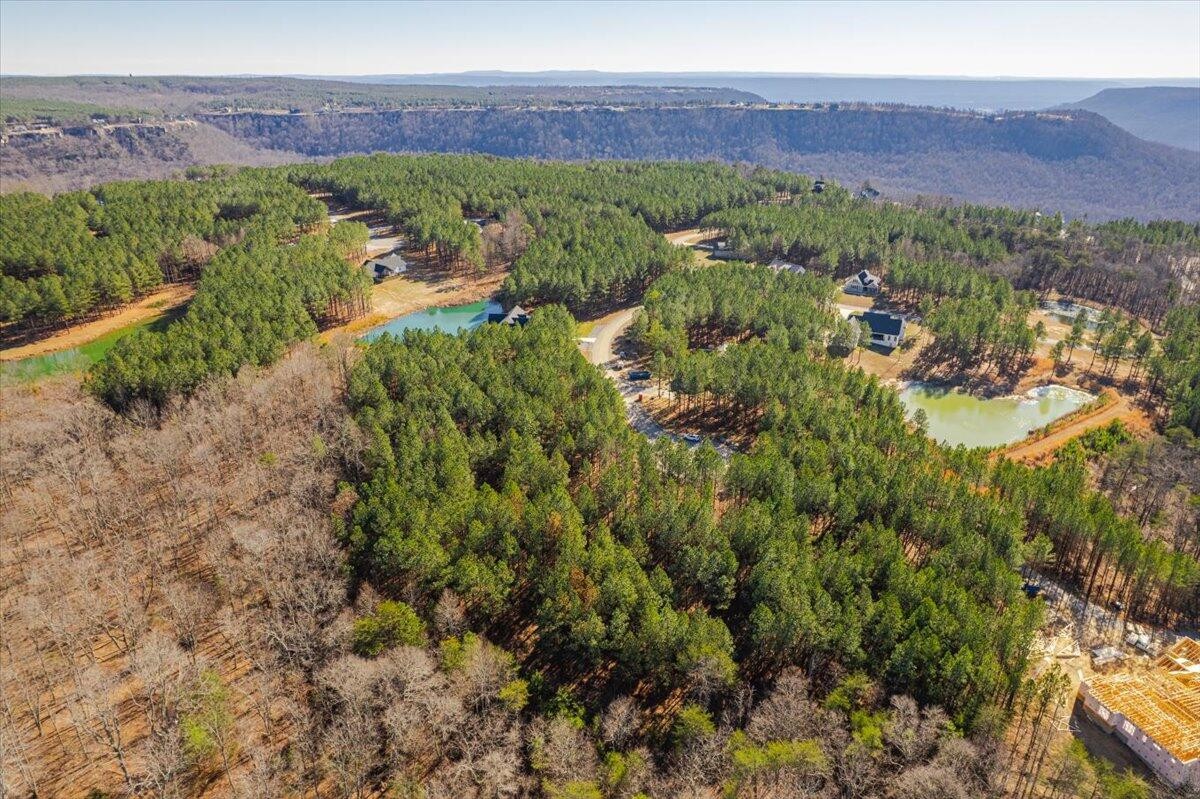 0 Bootleg Dri Jasper, TN 37347 - Photo 31 of 36 a view of a city with lush green forest