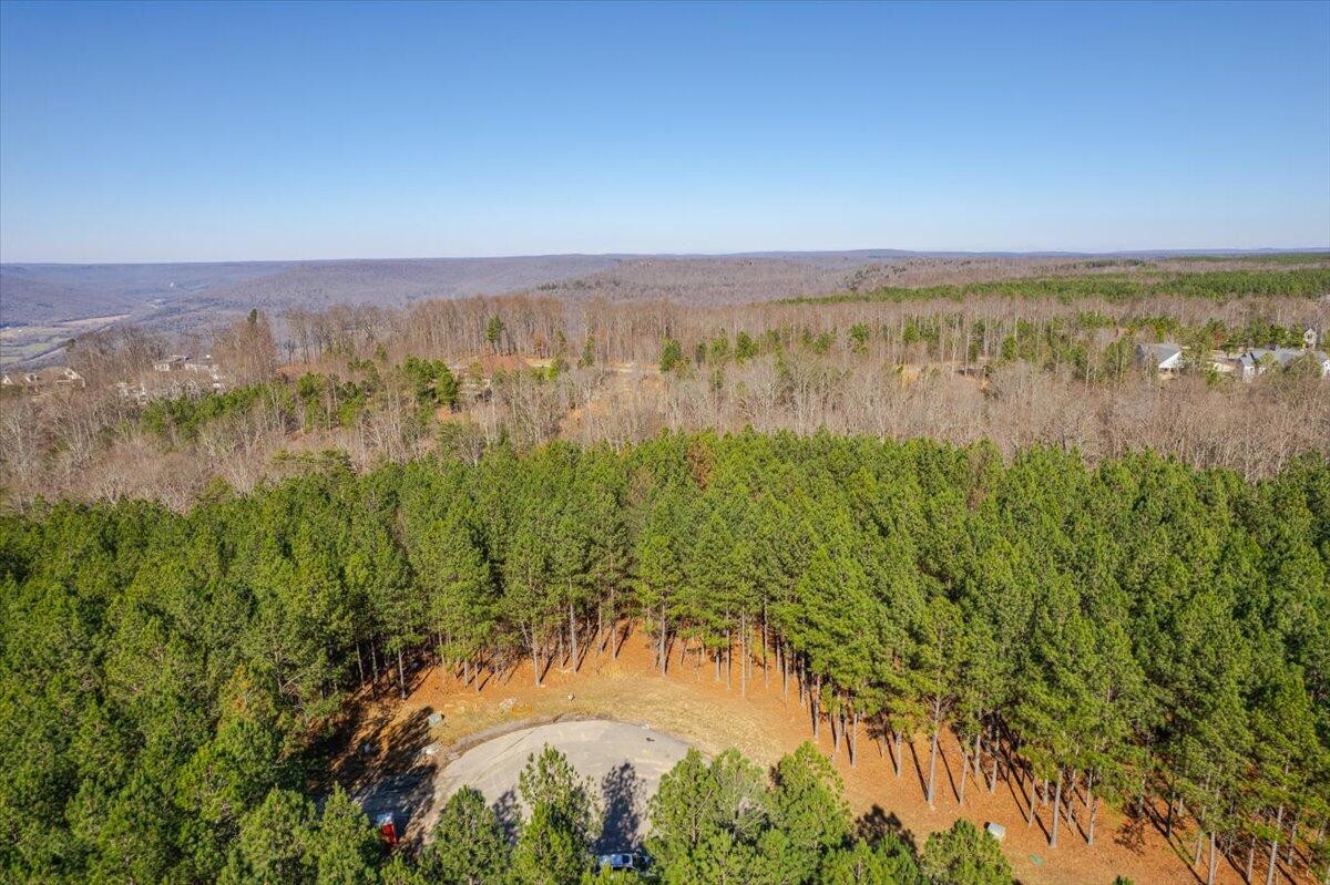 0 Bootleg Dri Jasper, TN 37347 - Photo 34 of 36 a view of a lake with a yard