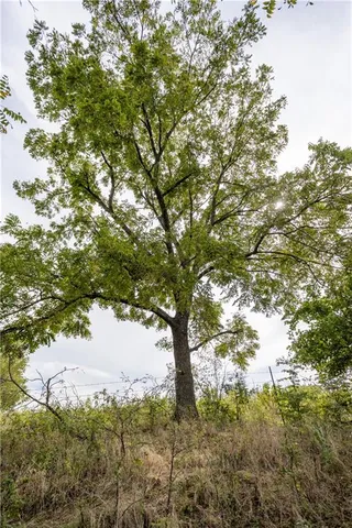 $1,707,945 | 8602 East Utopia Drive, Bronaugh, MO 64728