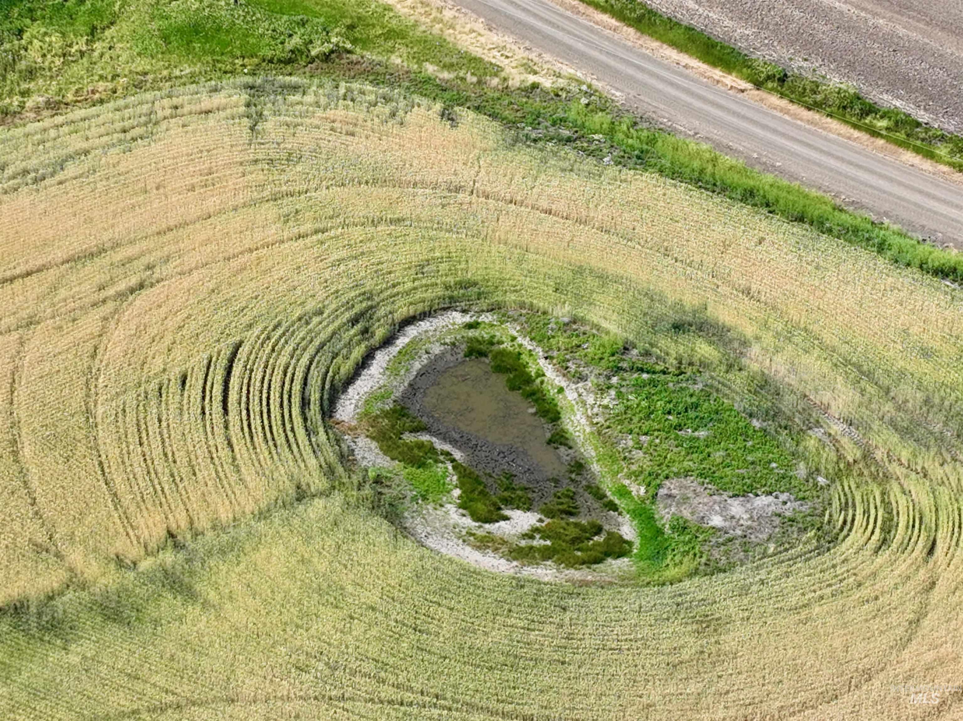 Tbd Central Ridge Road Craigmont, ID 83523 - Photo 11 of 40