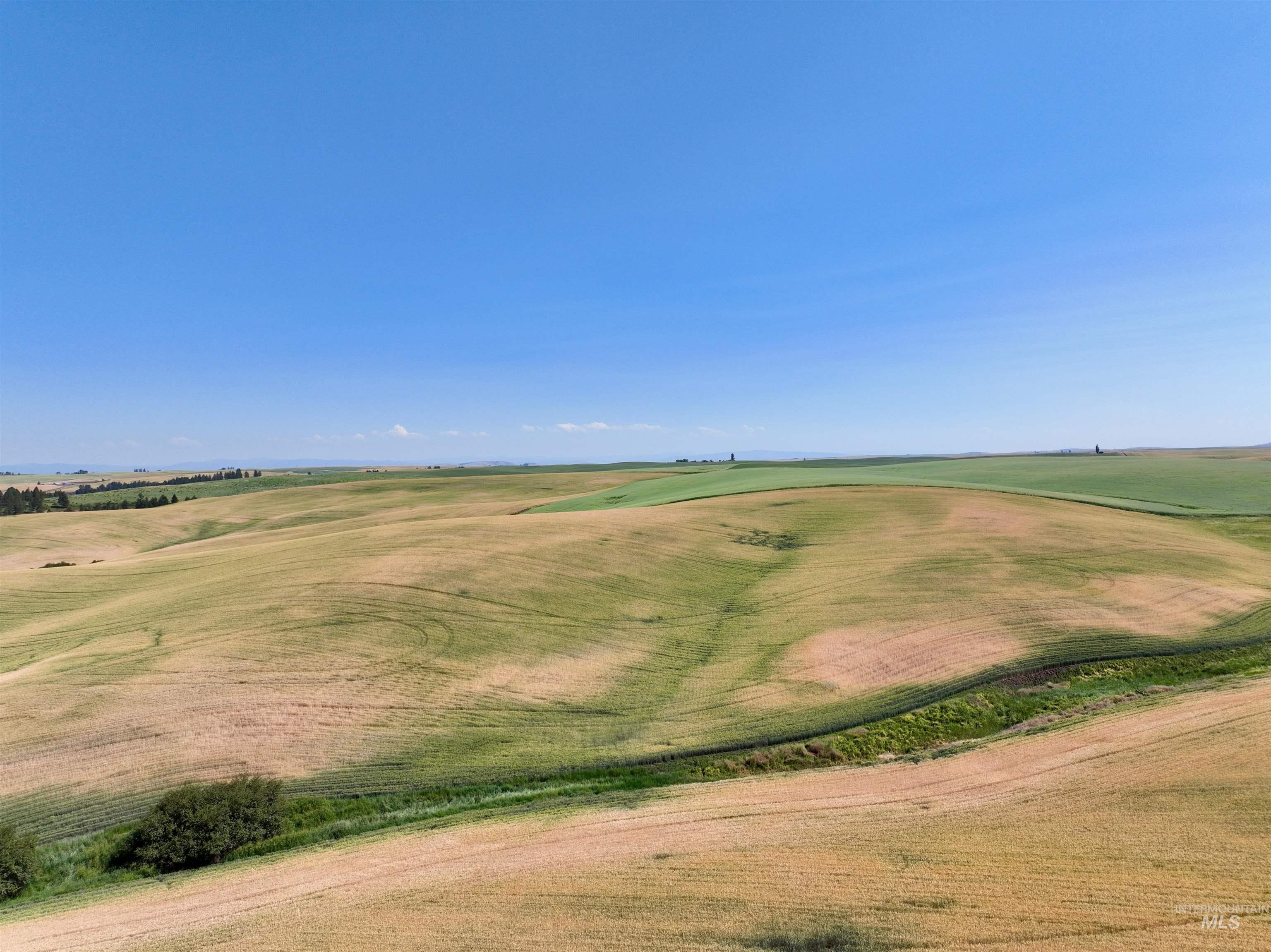 Tbd Central Ridge Road Craigmont, ID 83523 - Photo 15 of 40