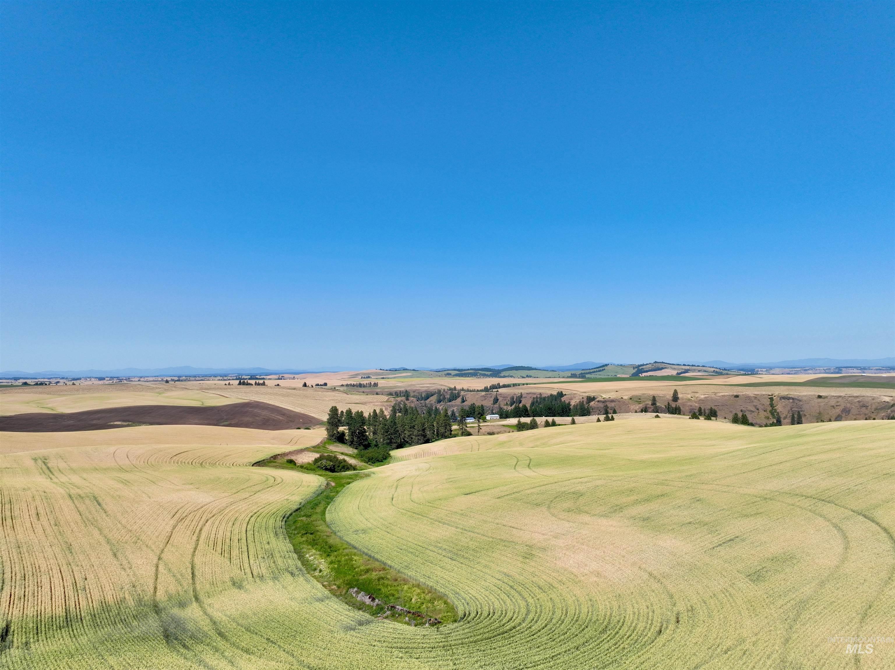 Tbd Central Ridge Road Craigmont, ID 83523 - Photo 17 of 40