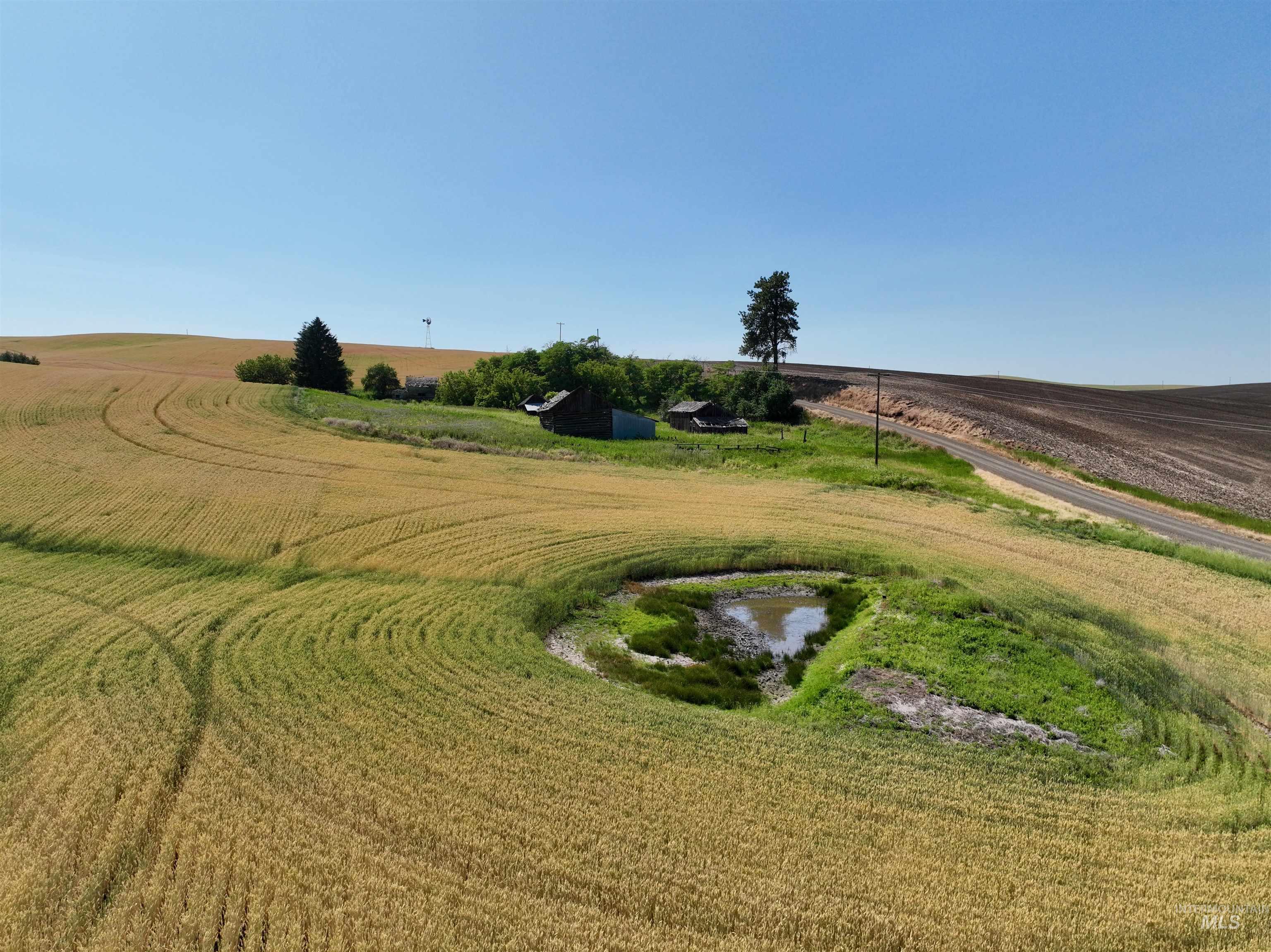 Tbd Central Ridge Road Craigmont, ID 83523 - Photo 19 of 40