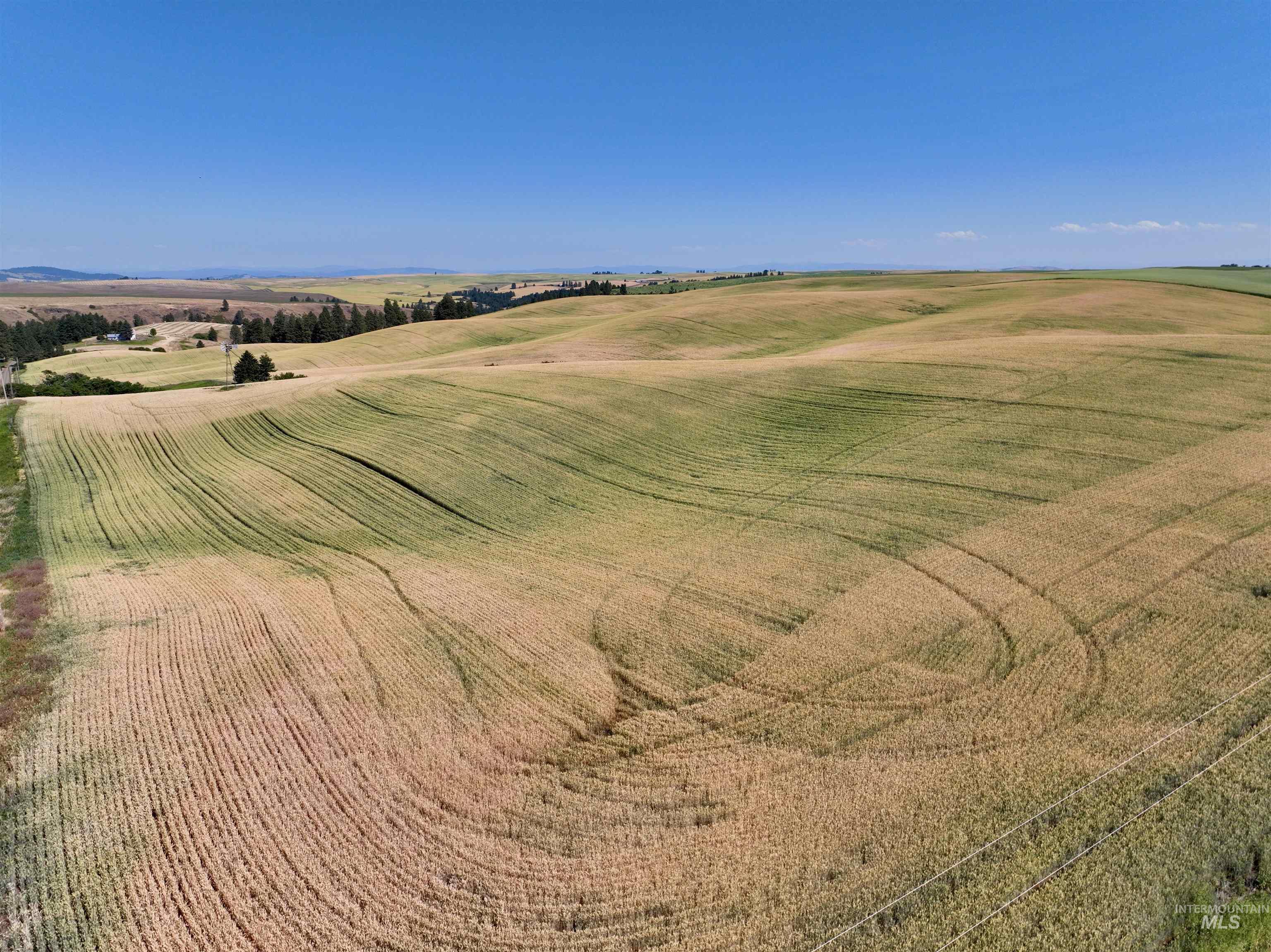 Tbd Central Ridge Road Craigmont, ID 83523 - Photo 23 of 40