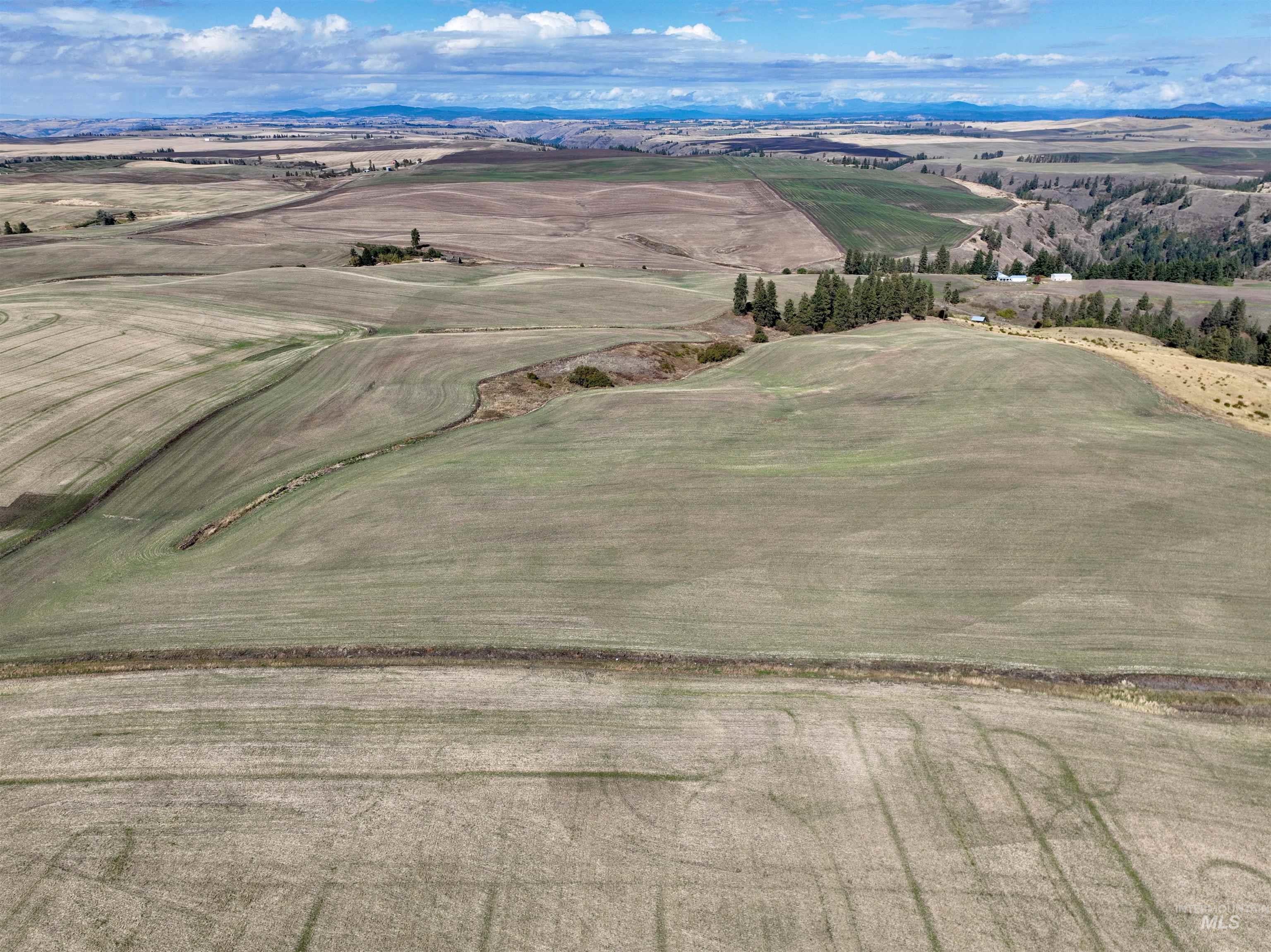 Tbd Central Ridge Road Craigmont, ID 83523 - Photo 35 of 40 Overview of rural landscape with a mountainous background