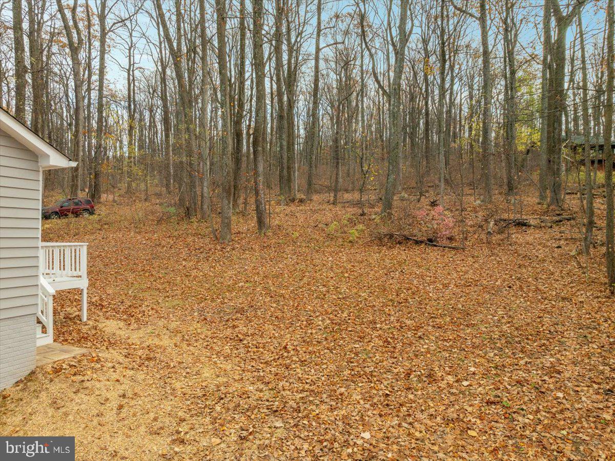 4044 Blue Mountain Road Front Royal, VA 22630 - Photo 32 of 38 Gallery Image 32
