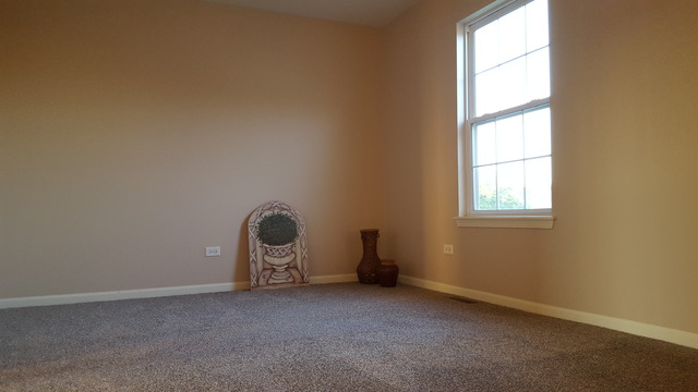 3719 Harms Road Joliet, IL 60435 - Photo 20 of 25