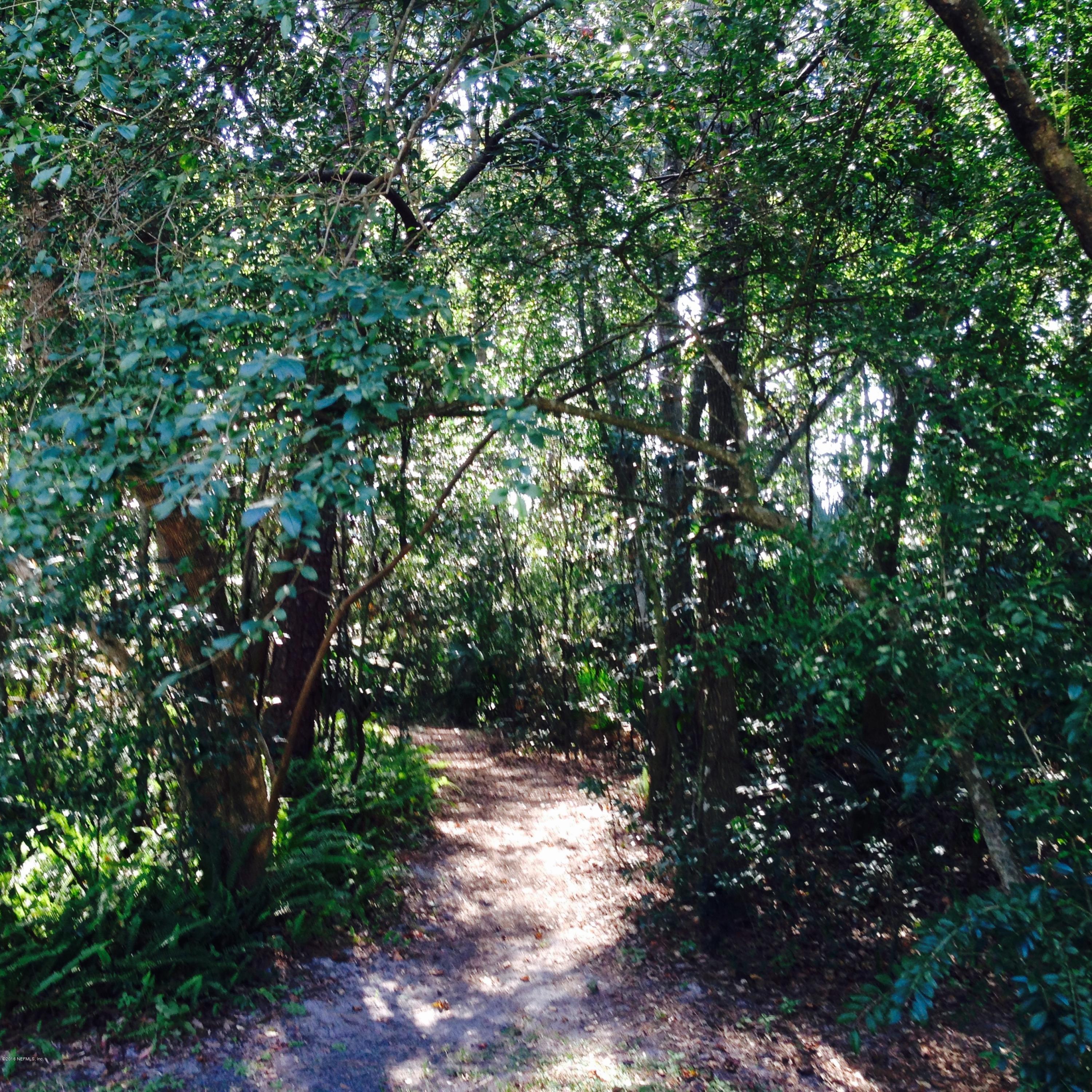 7608 Holiday Road South Jacksonville, FL 32216 - Photo 26 of 28 Path leading to the creek