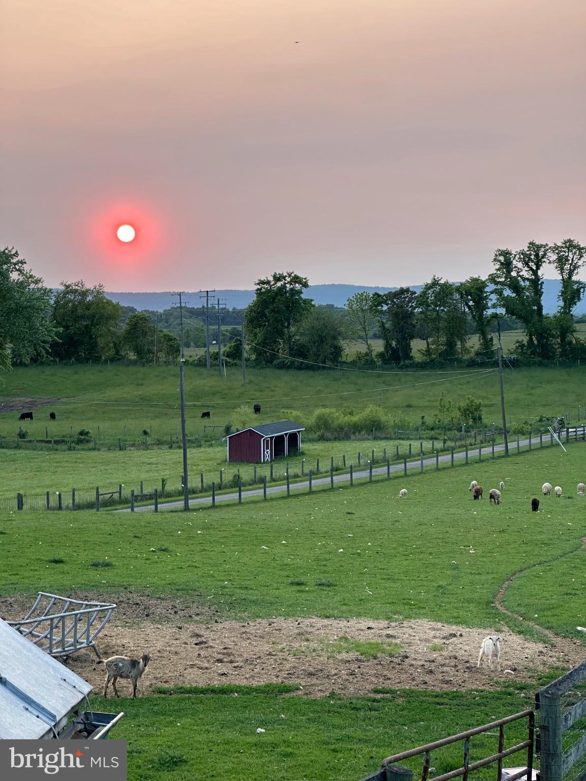 14872 Loyalty Road Waterford, VA 20197 - Photo 4 of 8