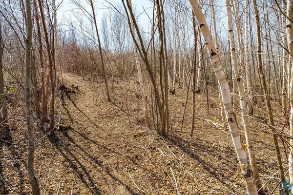 $174,900 | 29-xx West 15th Street, Duluth, MN 55811