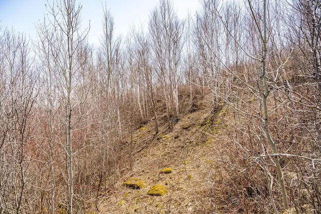 $174,900 | 29-xx West 15th Street, Duluth, MN 55811