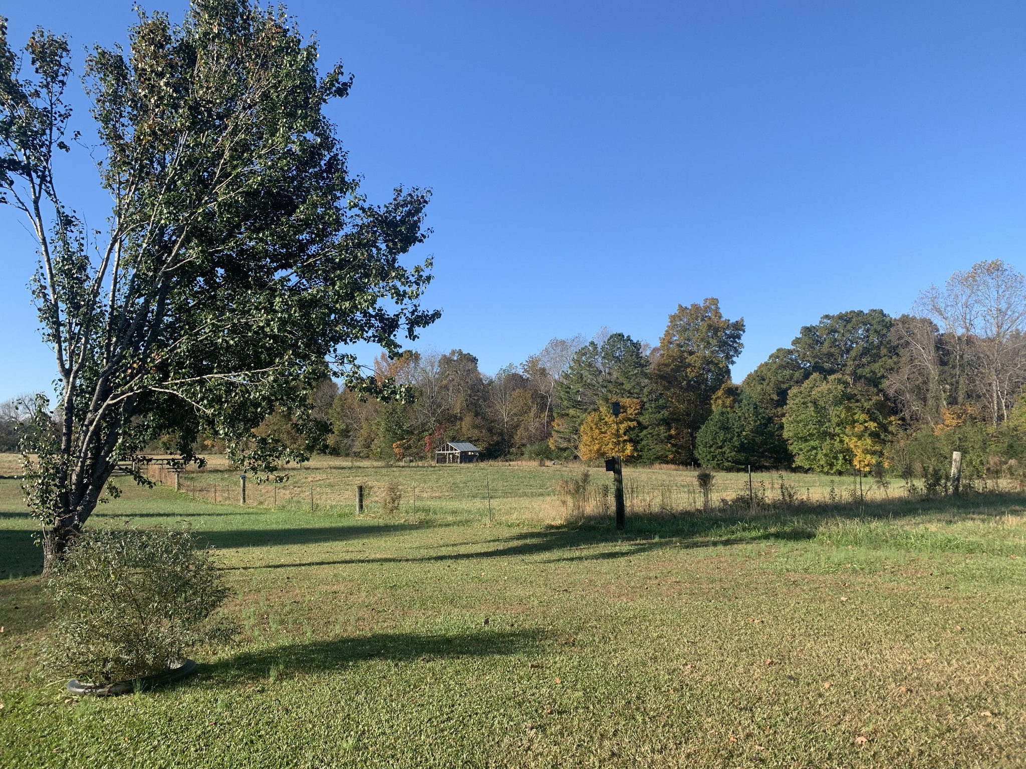 341 Busby Road Loretto, TN 38469 - Photo 13 of 42 a view of a park
