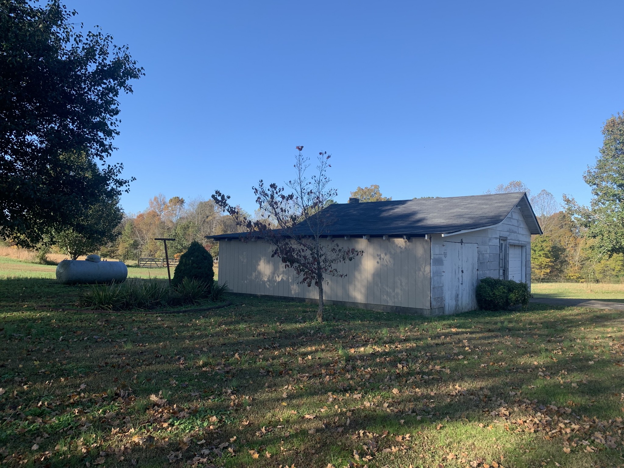 341 Busby Road Loretto, TN 38469 - Photo 19 of 42 a view of a yard