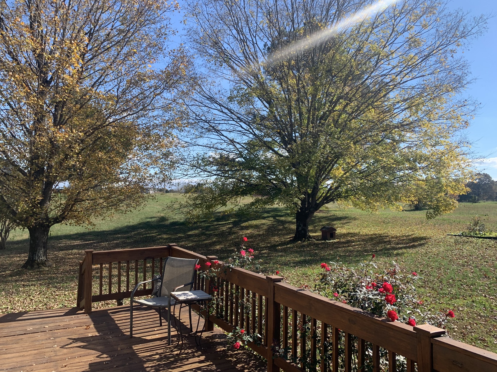 341 Busby Road Loretto, TN 38469 - Photo 22 of 42 a view of a wooden bridge