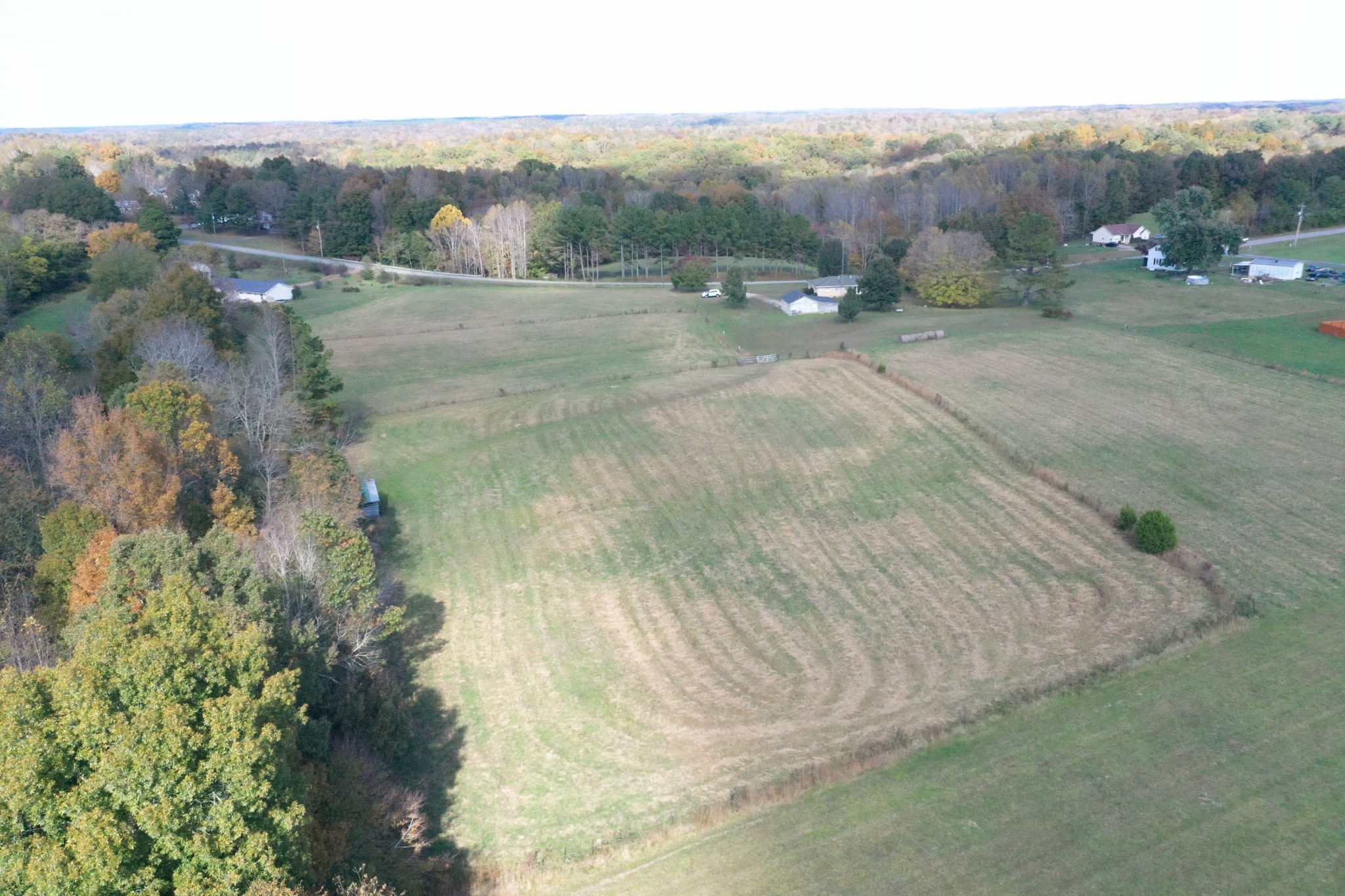 341 Busby Road Loretto, TN 38469 - Photo 4 of 42 a view of a dry yard with green space