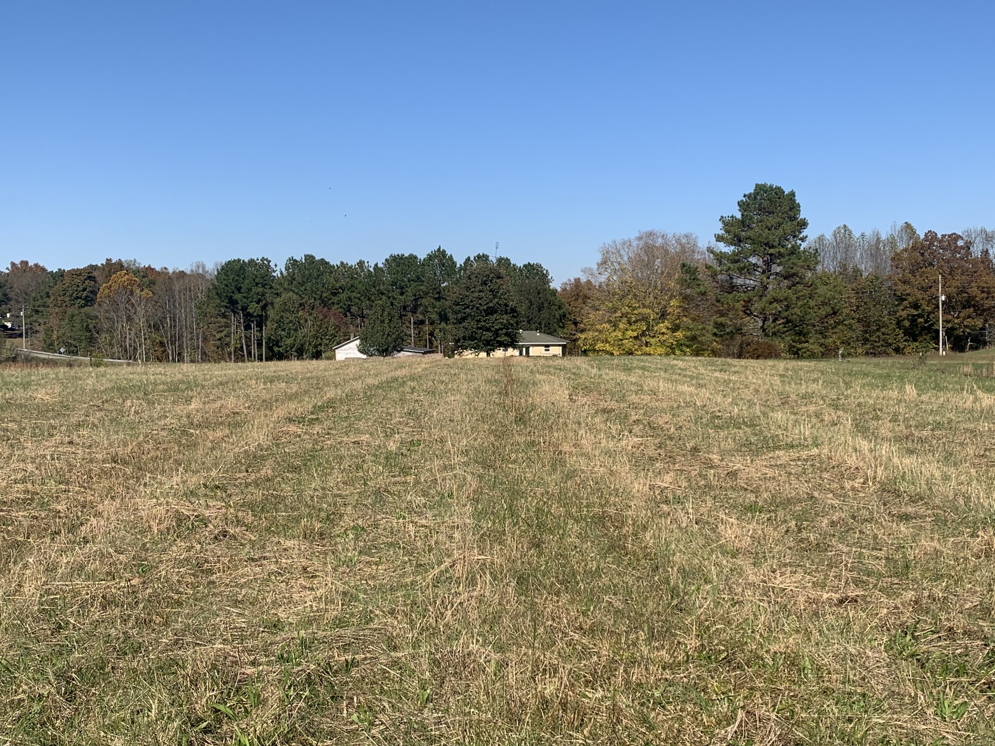 341 Busby Road Loretto, TN 38469 - Photo 38 of 42 a view of an outdoor space and a yard