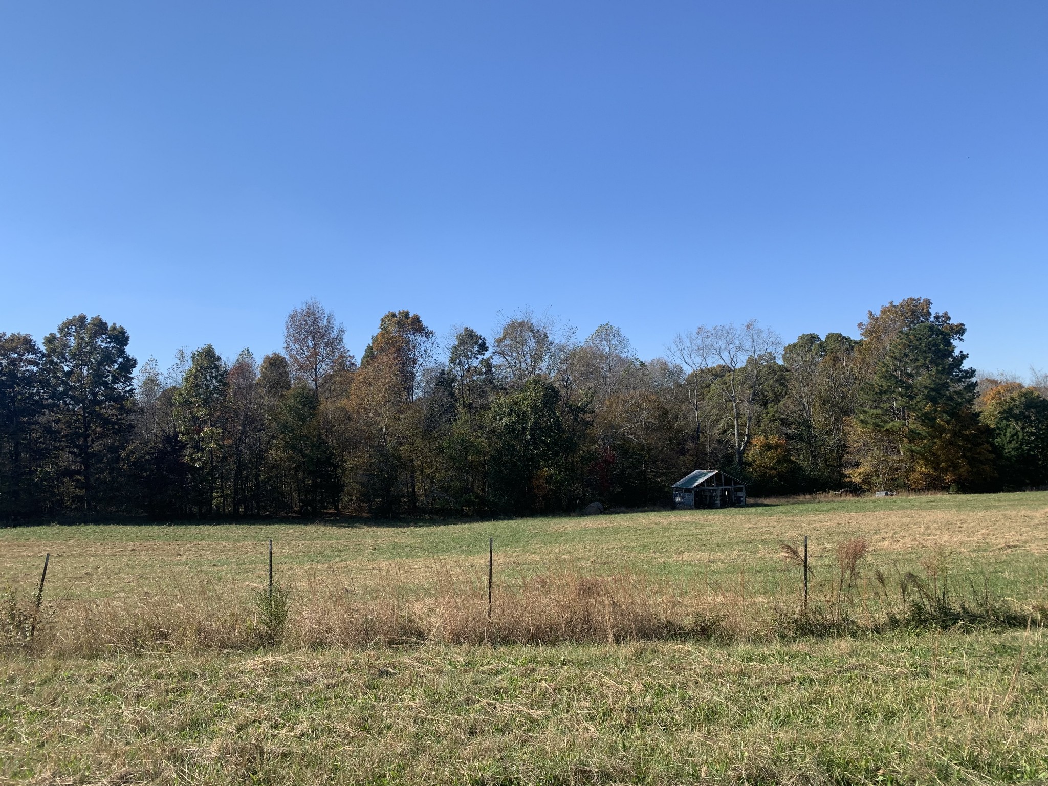 341 Busby Road Loretto, TN 38469 - Photo 39 of 42