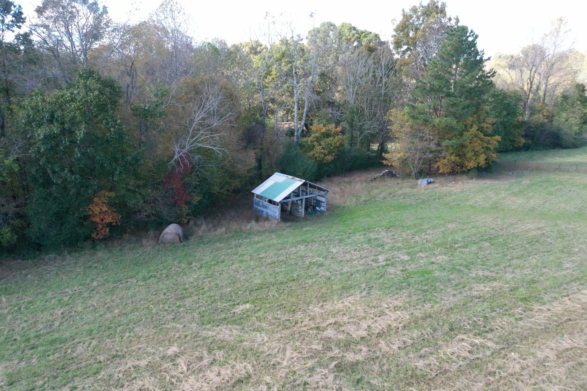 341 Busby Road Loretto, TN 38469 - Photo 5 of 42 a view of a backyard with a yard