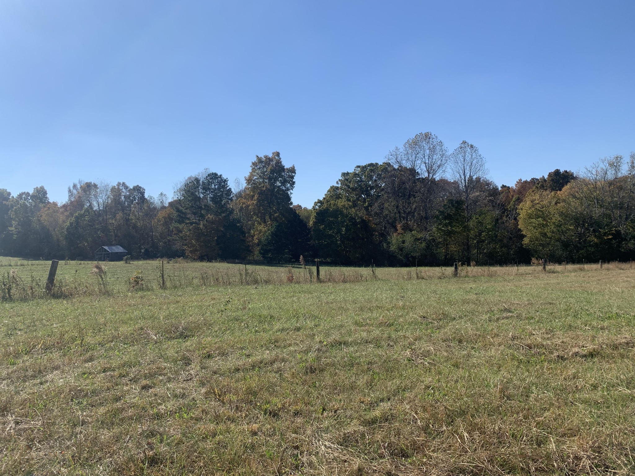 341 Busby Road Loretto, TN 38469 - Photo 41 of 42 a view of a field
