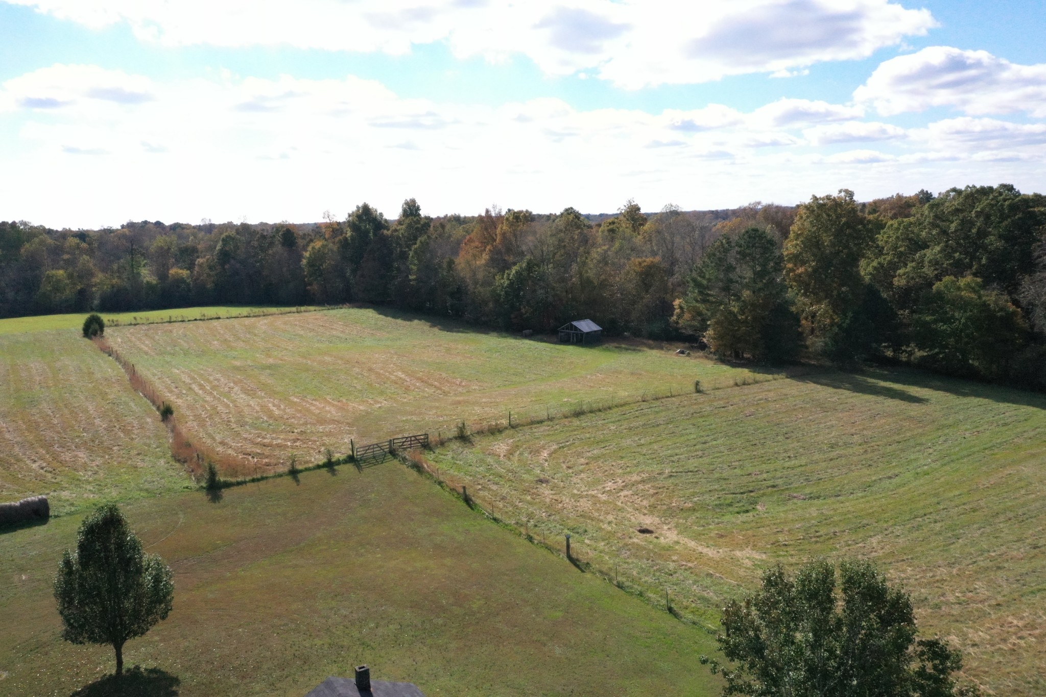 341 Busby Road Loretto, TN 38469 - Photo 10 of 42 a view of a basketball court