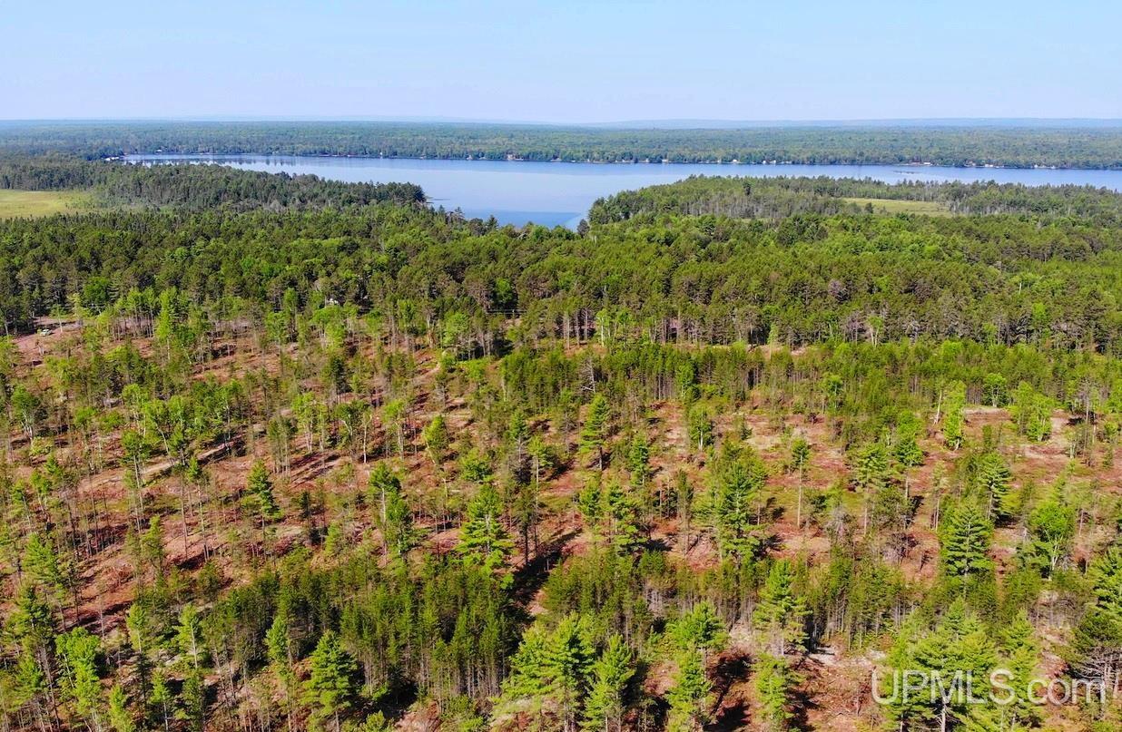 Tbds40 Rice Lake Road Lake Linden, MI 49945 - Photo 6 of 18 Gallery Image 6