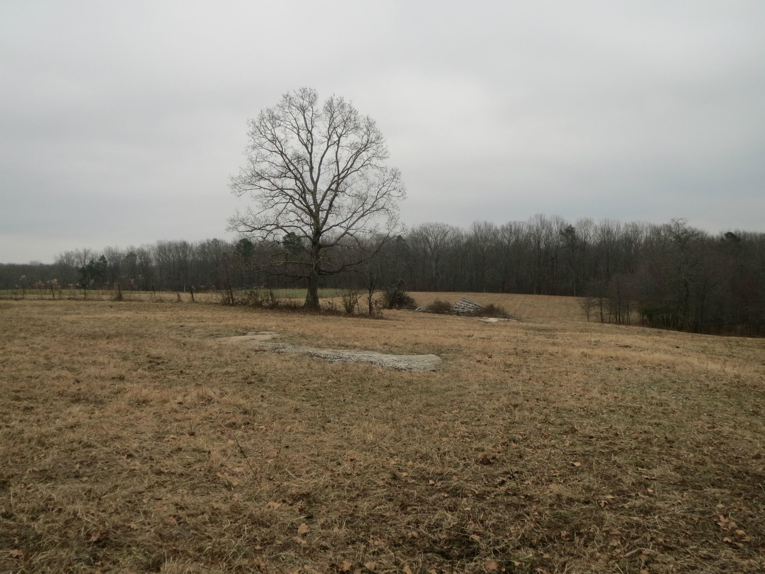 North Alf Threet Road Jamestown, TN 38556 - Photo 1 of 2 Cooper 005