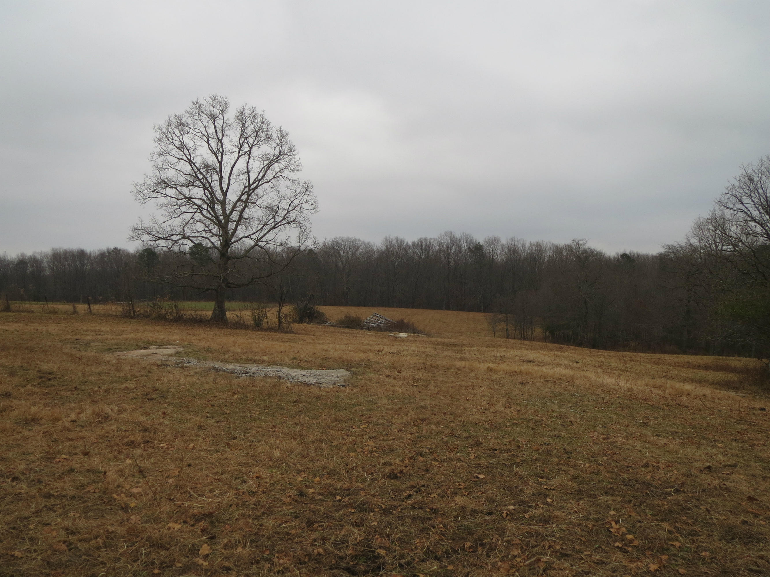 North Alf Threet Road Jamestown, TN 38556 - Photo 2 of 2 Cooper 006