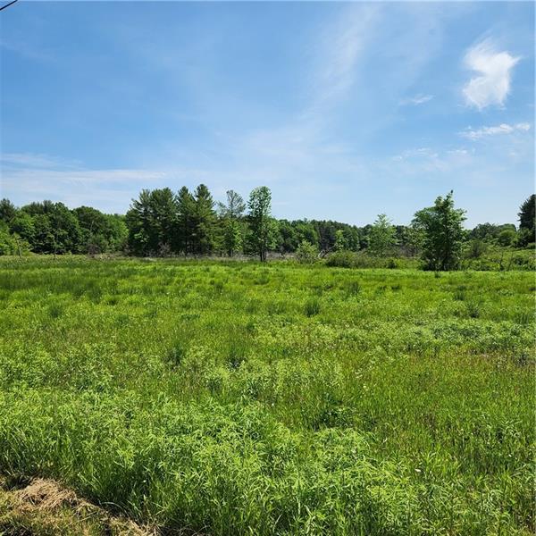 a view of a field of grass and trees