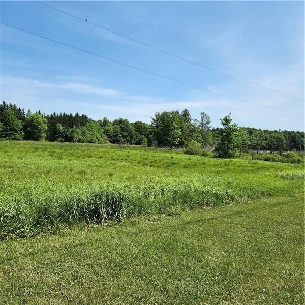 0 Ohle Road Clarks Mills, PA 16114 - Photo 2 of 5 a view of a field with trees in the background