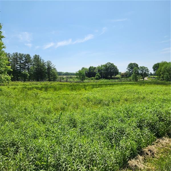 0 Ohle Road Clarks Mills, PA 16114 - Photo 3 of 5 a view of a lush green space