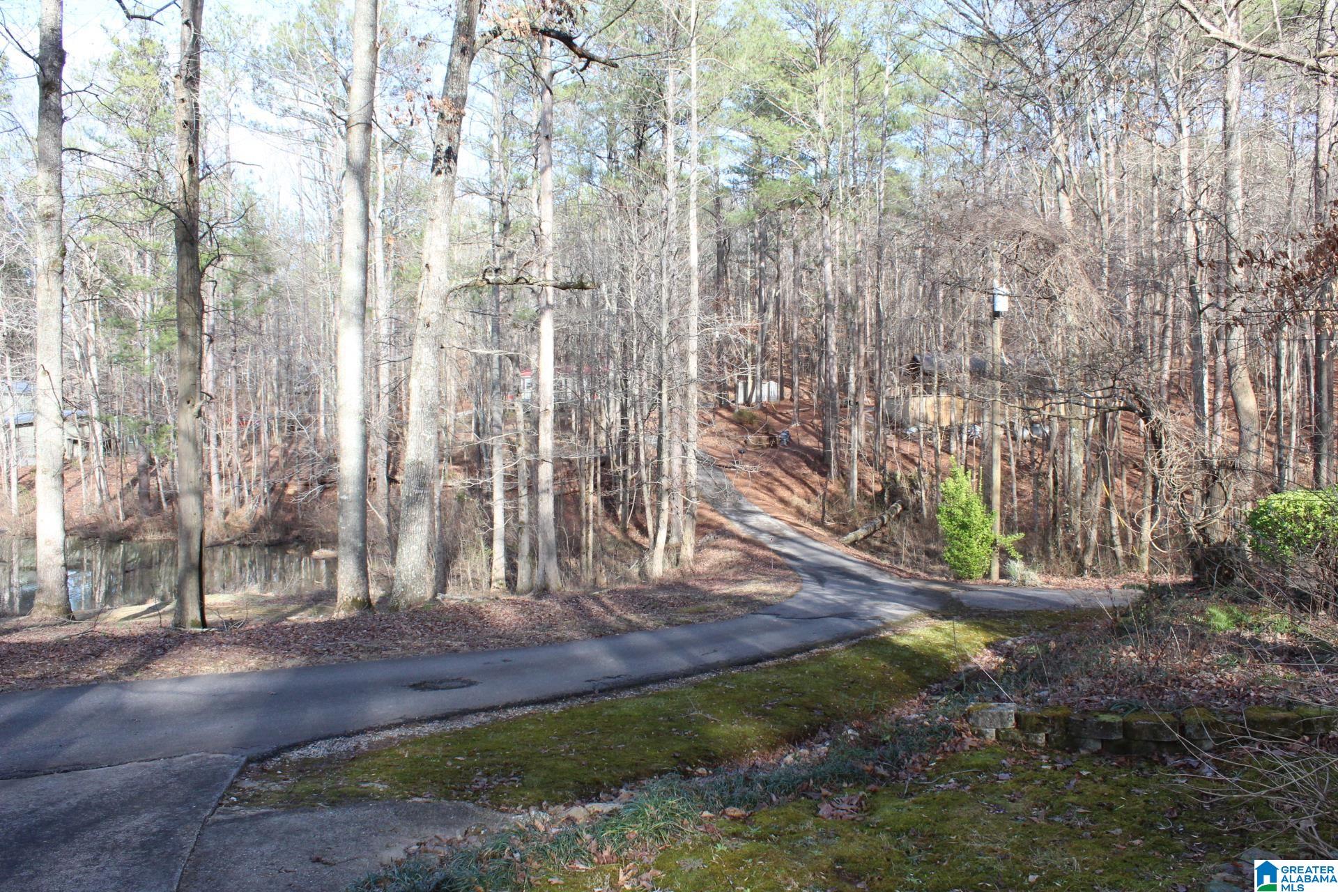 253 County Road 921 Delta, AL 36258 - Photo 29 of 36