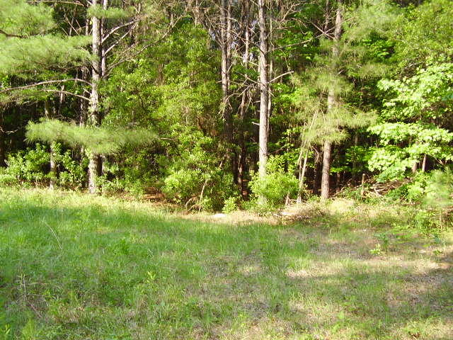 131 William A Campbell Road Sheldon, SC 29941 - Photo 1 of 4 131 William A Campbell 003