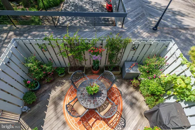 a view of a yard with plants and a large tree