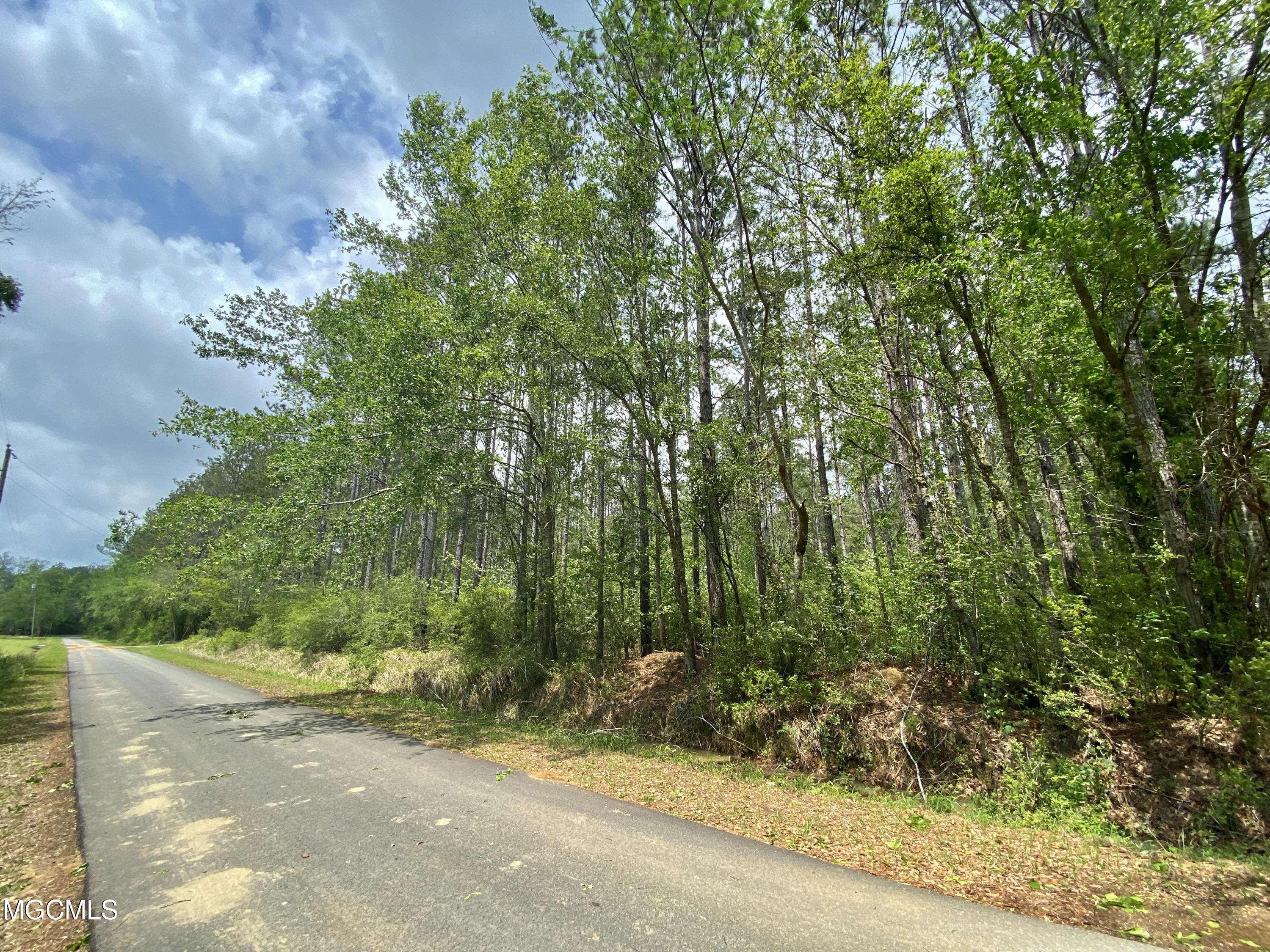 24 Scruggs Road Lucedale, MS 39452 - Photo 1 of 2 046E6CF9-7EDD-4C9B-9516-F42E071CCBD7_1_2