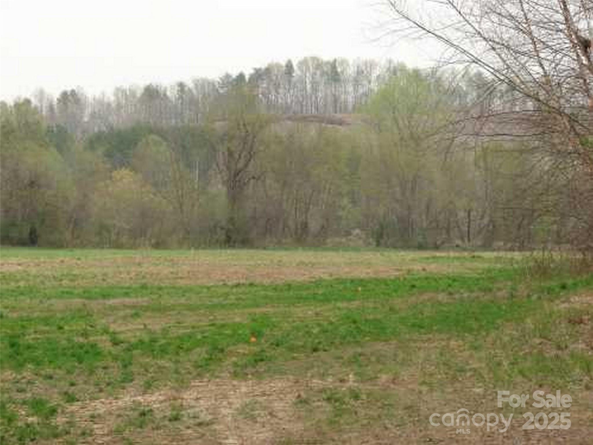 0 South Cross Creek Trail Mill Spring, Unit 12 Mill Spring, NC 28756 - Photo 2 of 9